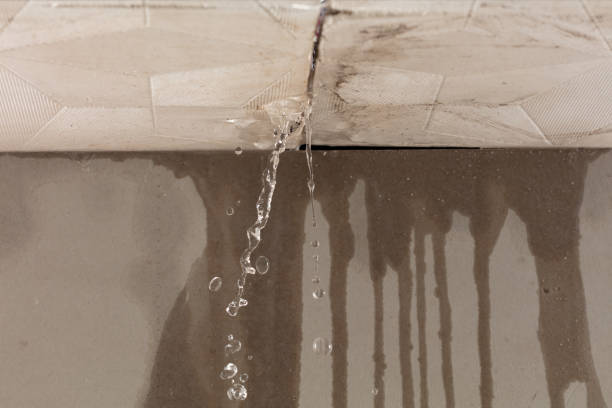 Professional Sewage Cleanup technician working in Shalimar, FL